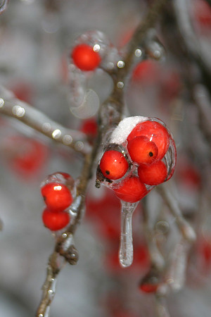 Image 27