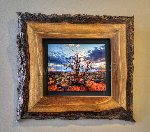 23 x 20 $270