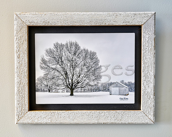 SOLD! 19 x 15 $160