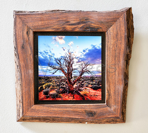 Charitable Contribution 13 x 13 $110