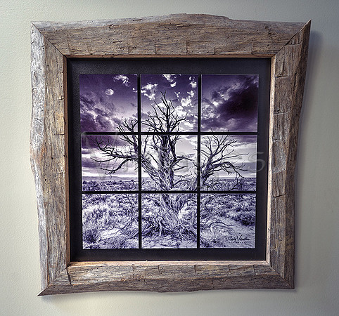 SOLD! $450