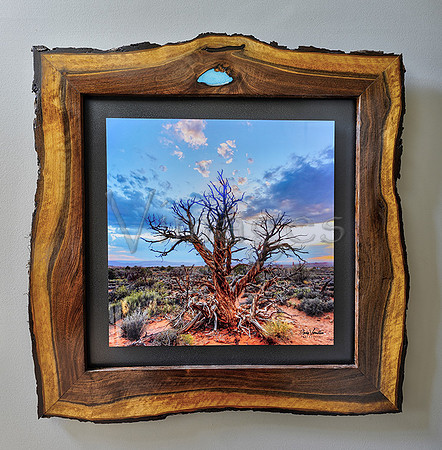 SOLD! 29 x29 $690 VI2019-5