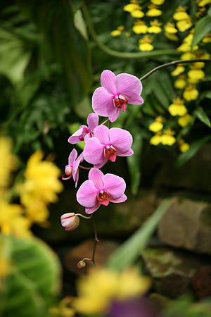 Image 07