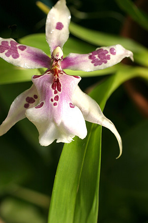 Image 05