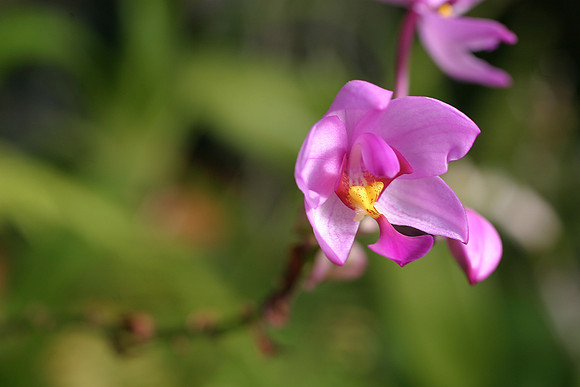 Image 04