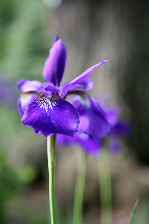 Image 06